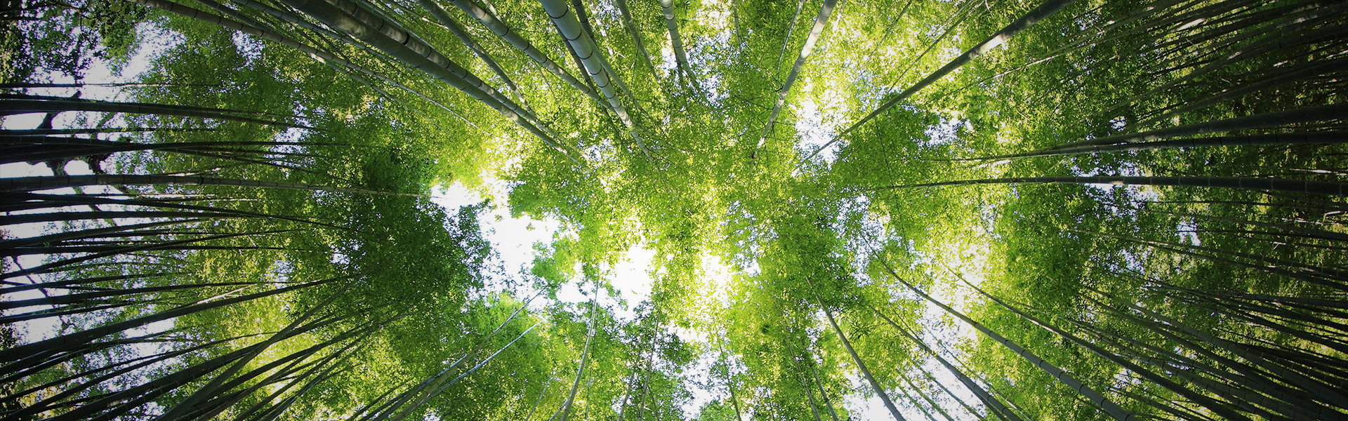 走進辰陽達